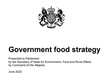UK: Government food strategy