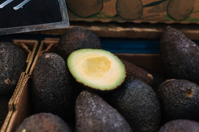 Mexican avocados grown on illegal orchards should not be exported to U.S., Ambassador says