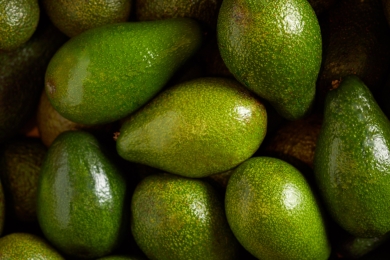 Avocado exports: The green gold for Kenya