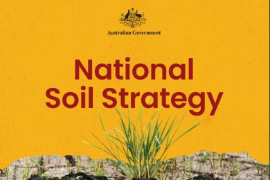 National Soil Strategy (Australia)