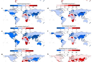 Cost-effective mitigation of nitrogen pollution from global croplands