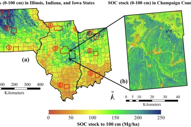 How does uncertainty of soil organic carbon stock affect carbon budget and credit calculation for croplands in the U.S. Midwest?