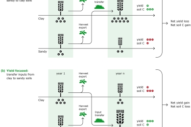 Carbon for soils, not soils for carbon