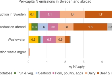 The nitrogen footprint of Swedish food consumption