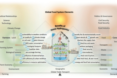 Challenges and solutions for sustainable food systems: The potential of home hydroponics