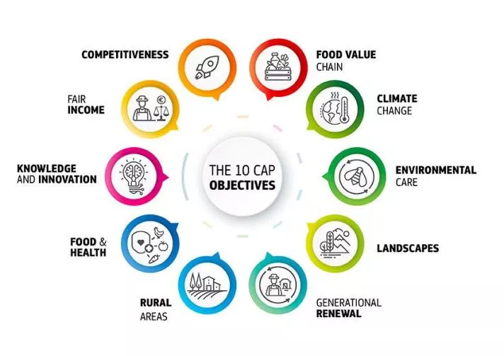 Environmental benefits flow from thematic group networking