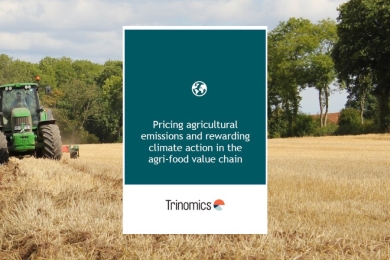 Pricing Agricultural Emissions and Rewarding Climate Action in the Agri-food Value Chain
