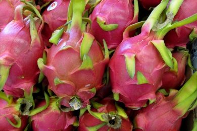A comprehensive dragon fruit image dataset for detecting the maturity and quality grading of dragon fruit