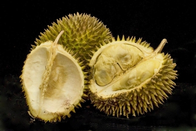 Changes and correlation analysis of volatile flavor compounds, amino acids, and soluble sugars in durian during different drying processes