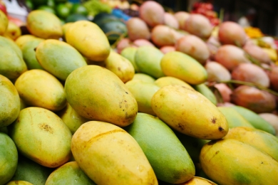 Early mango season in Maharashtra, prices drop