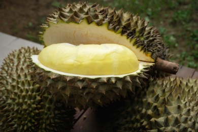 Tencent tech to help verify Thai durians, launch commerce platform