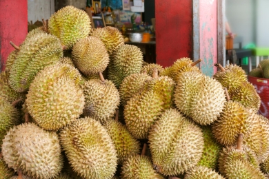 Vietnam’s Musang King durian price doubles in 6 months