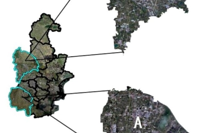 Analysis of the carbon effect of high-standard basic farmland based on the whole life cycle