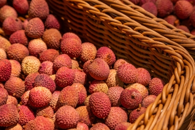 Farmers reap sweet gains from lychee biz