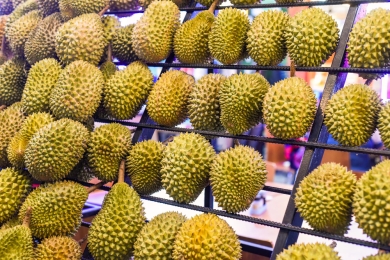 China’s durian output to quadruple in 2024, processing poised to permeate with demand ‘on a rapid rise’