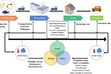 Designing sustainability comprehensive indicator for the food supply chain under climate change: A systematic literature review