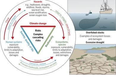 Overcoming the coupled climate and biodiversity crises and their societal impacts