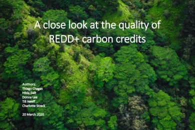 A close look at the quality of REDD+ carbon credits