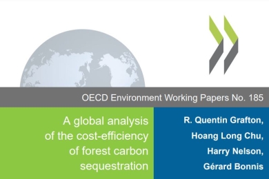 A global analysis of the cost-efficiency of forest carbon sequestration