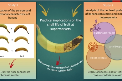 The appeal of bananas: A qualitative sensory analysis and consumers’ insights into tropical fruit consumption in Italy