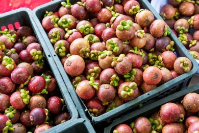 Declining production set to drive up Vietnamese mangosteen prices