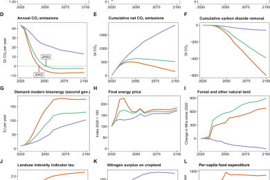 Food matters: Dietary shifts increase the feasibility of 1.5°C pathways in line with the Paris Agreement