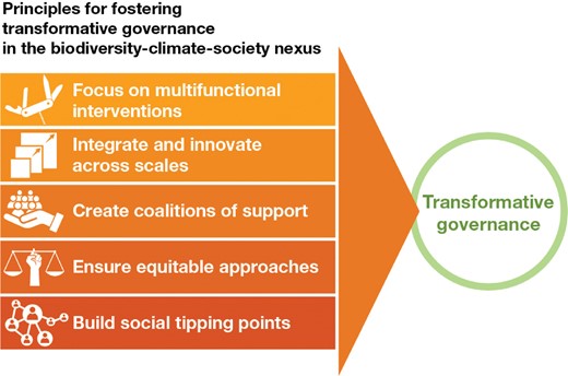 Governing for transformative change across the biodiversity–climate–society nexus