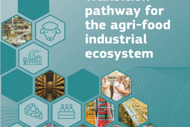 Transition pathway for the agri-food industrial ecosystem