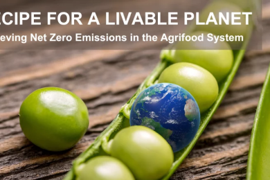 Recipe for a Livable Planet: Achieving Net Zero Emissions in the Agrifood System
