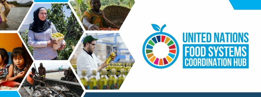 UN Food Systems Coordination Hub – Database of good practice for food systems transformation and Coalition