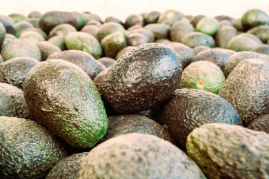 Calavo increasing Peru avocado supplies