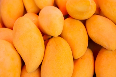 PRAN to procure 50,000 tonnes of mangoes for factory production
