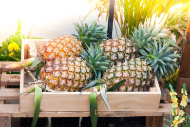 APEDA Facilitates first consignment of MD 2 pineapples from India to UAE