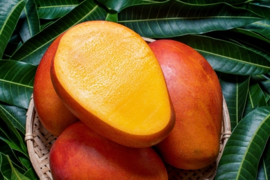 Taiwan mango exports to US to resume within 1-2 years