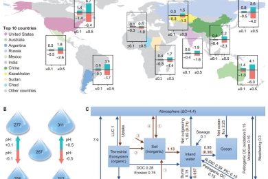 Size, distribution, and vulnerability of the global soil inorganic carbon