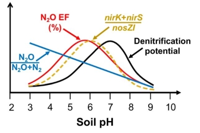 Intermediate soil acidification induces highest nitrous oxide emissions