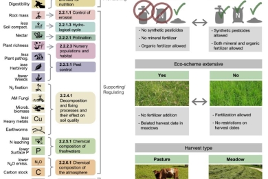 Effects of management practices on the ecosystem-service multifunctionality of temperate grasslands