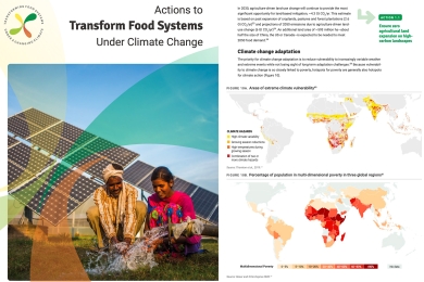 Actions to transform food systems under climate change