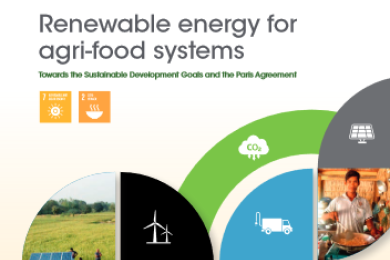 Renewable energy for agri-food systems: Towards the Sustainable Development Goals and the Paris Agreement