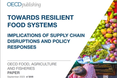 Towards resilient food systems: Implications of supply chain disruptions and policy responses
