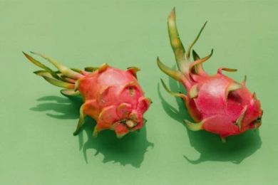 The exotic dragon fruit now grows in Dindigul