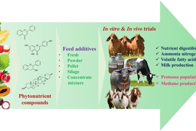 The recycling of tropical fruit peel waste-products applied in feed additive for ruminants: Food manufacturing industries, phytonutrient properties, mechanisms, and future applications