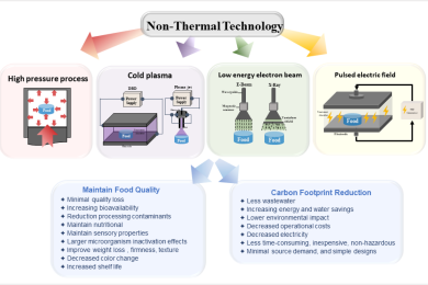 Nonthermal technologies to maintain food quality and carbon footprint minimization in food processing: A review