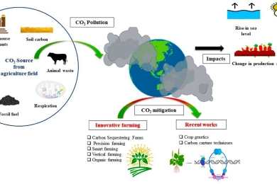 Carbon mitigation in agriculture: Pioneering technologies for a sustainable food system