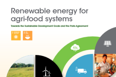 Renewable energy for agri-food systems: Towards the Sustainable Development Goals and the Paris Agreement