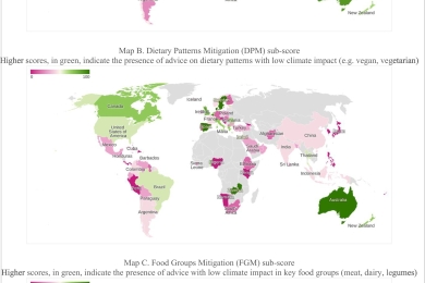 Climate change mitigation potential in dietary guidelines: A global review