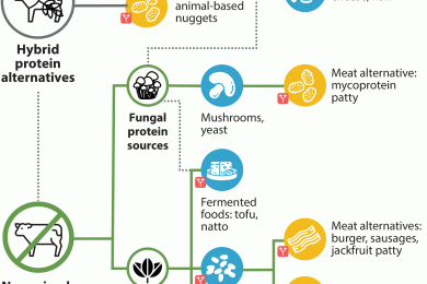 The future of plant-based diets: Aligning healthy marketplace choices with equitable, resilient, and sustainable food systems