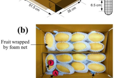 Experimental study of air cargo temperature variations and its impact on mango quality