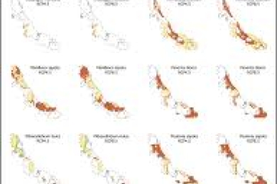 Potential distribution of wild edible fruit trees under climate change scenarios: promoting food security in a Neotropical region