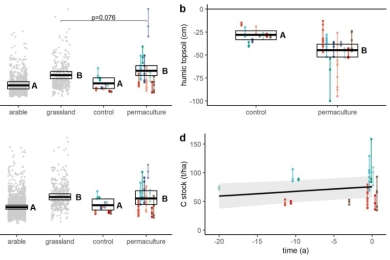 Permaculture enhances carbon stocks, soil quality and biodiversity in Central Europe